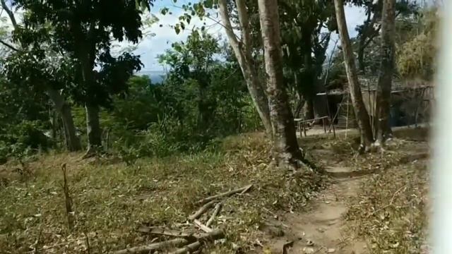 44 выпуск. Часть 2, о. Апо. Массаж. смотреть онлайн