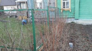 Колючая проволока по забору. Первый барьер безопасности  в наше неспокойное время