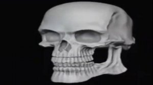 Скелет упорото улыбается-мем