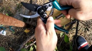 секатор raco expert, обзор и проверка реза