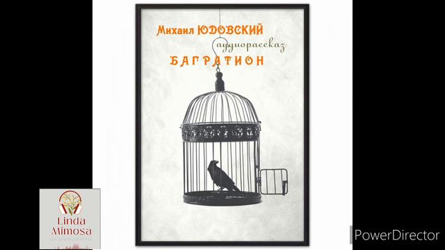 Аудиорассказ 