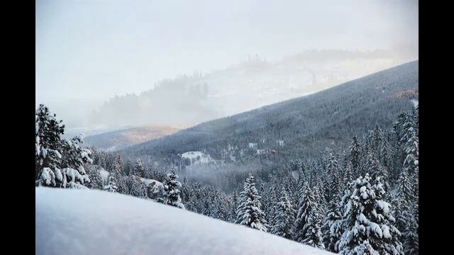 Снегири