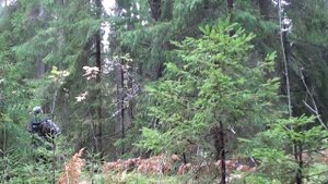 Рябчик на манок. Мастер-класс