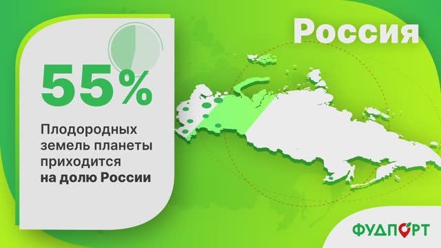 ФудПорт