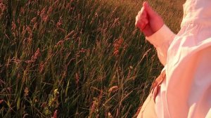 когда волнуется желтеющая нива