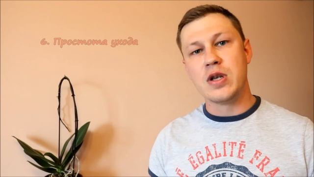 Что лучше гипсокартон или натяжной потолок