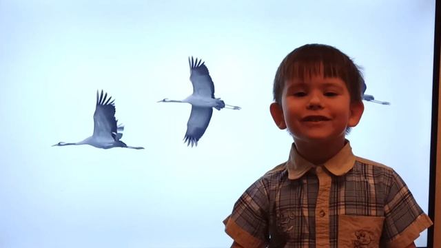 Жура-жура-журавель П. Воронько #деньпоэзии #2021 смотреть онлайн