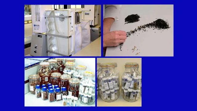 Jonathan Drori: Why we're storing billions of seeds смотреть онлайн