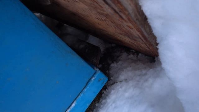 Зимовка пчёл на ВОЛЕ ПОД СНЕГОМ! Вентиляция в ульях. смотреть онлайн