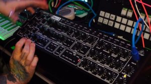 Behringer Pro-1 Synth Sound Demo (no talking)