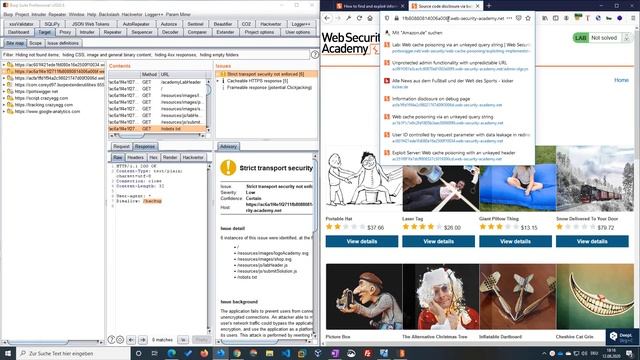 Source code disclosure via backup files (Video solution)