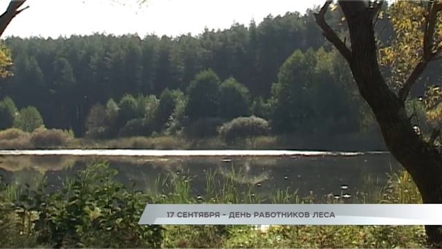 17 сентября - День работников леса смотреть онлайн