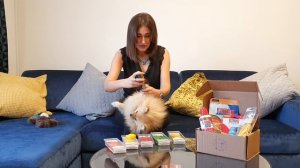 Ботинки для собак. Обзор ботинок PAWZ. Впервые собака в ботинках