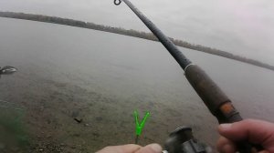 Донный ЛЕЩ в Октябре. Рыбалка на донки.