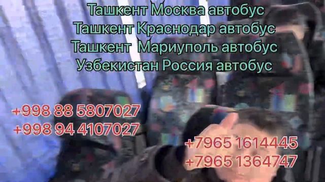 Ташкент Новосибирск автобус Новосибирск Ташкент автобус Узбекистан Россия автобус Россия Узбекистан