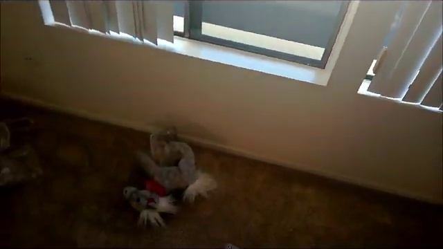 Утро на новом месте // California 20. смотреть онлайн