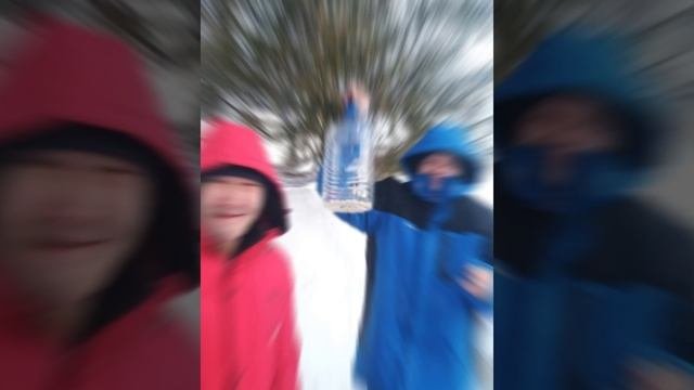 видео кормушки