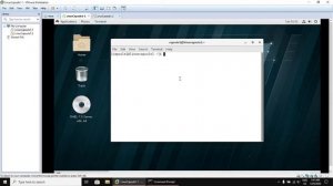 007. Linux Capsule - LSA 1-1 - Capsule 1 - Section 2 - Commands - Part 1