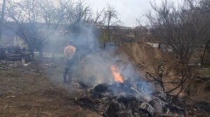 В Мариуполе сжигают больных чумой свиней