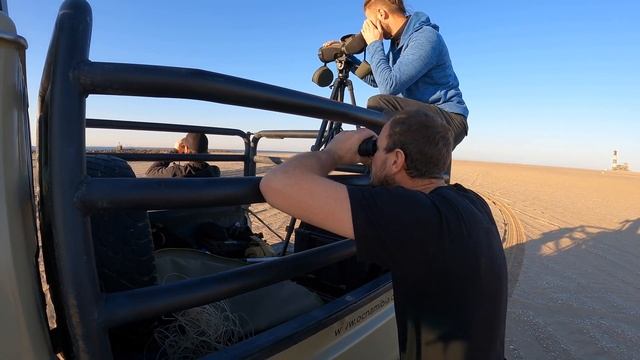 Rescuing seals stuck in fishing lines in Namibia ? [S5 - Eps. 50] смотреть онлайн