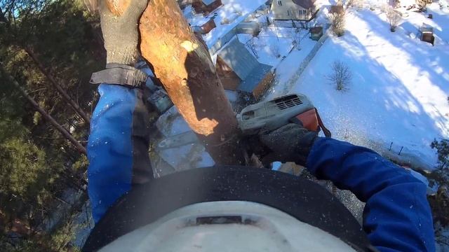 Спиливание сосны на даче, на площадке для дрессировки собак Removal of pine trees in the country смотреть онлайн