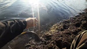 маныч 2023. ловля щуки в сентябре#осень #щука #fishing #рекомендации #рыбалка