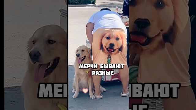 Отличному мерку - просматриваемое место