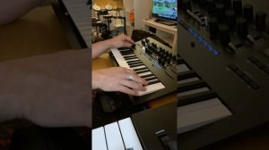 Korg Minilogue Xd Demo - Moog Lead Patch
