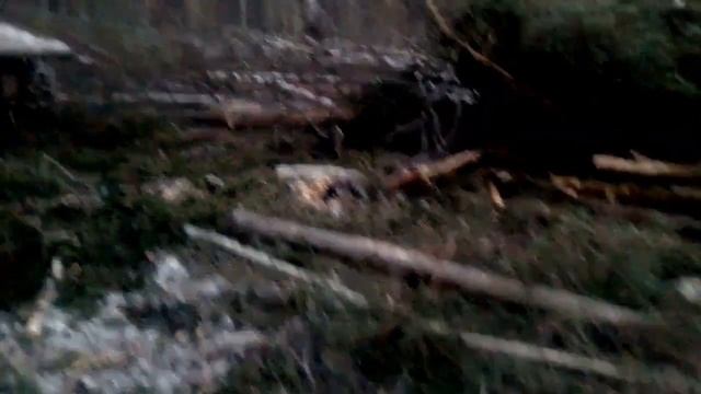 тдт 55 работа в лесу. смотреть онлайн