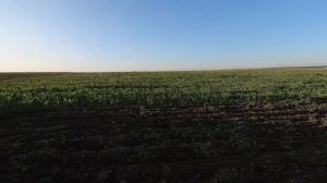 Трактор Кировец + БДМ-6Х4.  Работа в ночь.