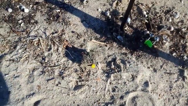 Рыбалка на донные снасти. Поиск карася. Ноябрь 2021 смотреть онлайн