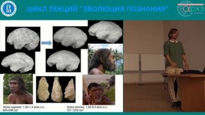 Станислав Дробышевский: "Эволюция мозга"