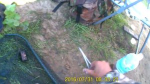 Брянск-Десна- лещ  на 2500