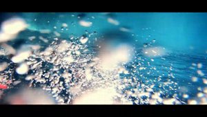 Мониторинг серых китов в Охотском море