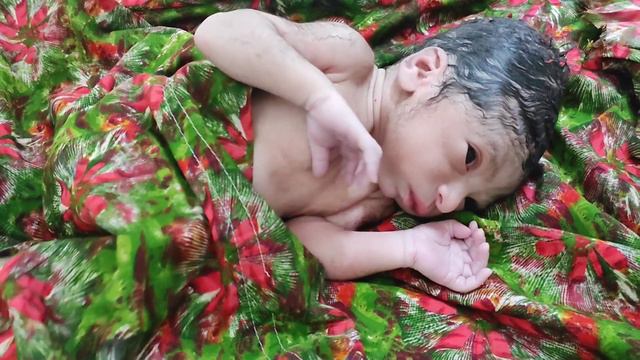 newborn baby boy #weight 2.5 kg #fullterm 37 weeks gestation #normal delivery @babyvedios461 смотреть онлайн