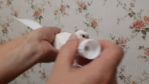 Карандаш для метки голубей