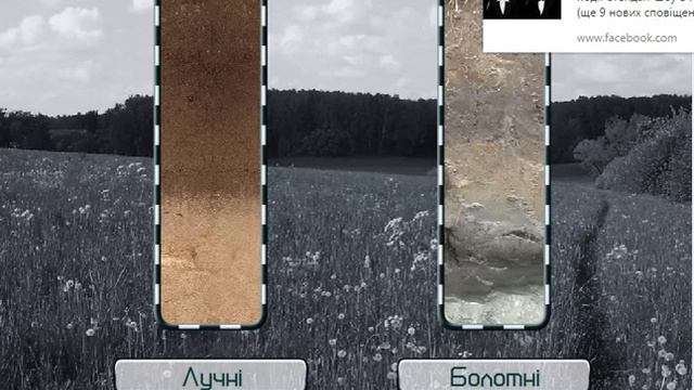 Чорноземи Каштанові Коричневі Лучні та болотні Солончаки, солонці та солоді смотреть онлайн