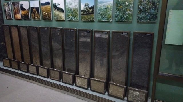 Кишинев - рынки, музеи и вечерняя прогулка
