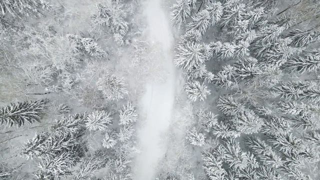 лучше снотворного. заснешь через 10 мин!!