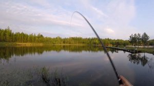 Караси на Херабуну в Лепсари. Огромный карась оборвал снасть...