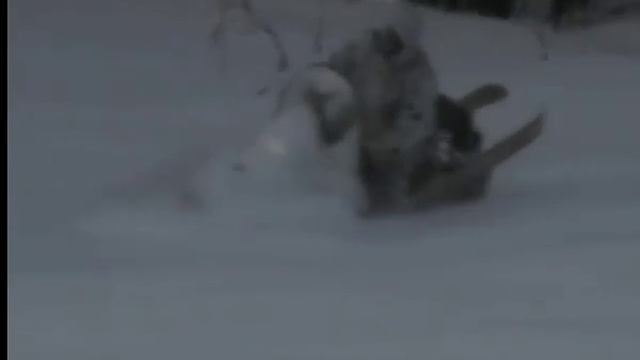 снегоход варяг по пухлому снегу смотреть онлайн