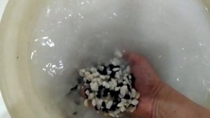 Цихлиды и растения (Грунт для Валлиснерии )