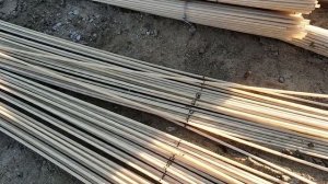 100 метровый туннель(парник) для клубники.