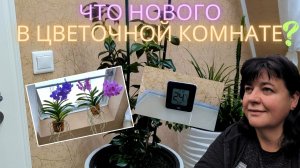 Мои комнатные цветы в октябре 2023 год ?? Просто Мария