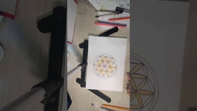 Сакральная геометрия. Семя жизни.