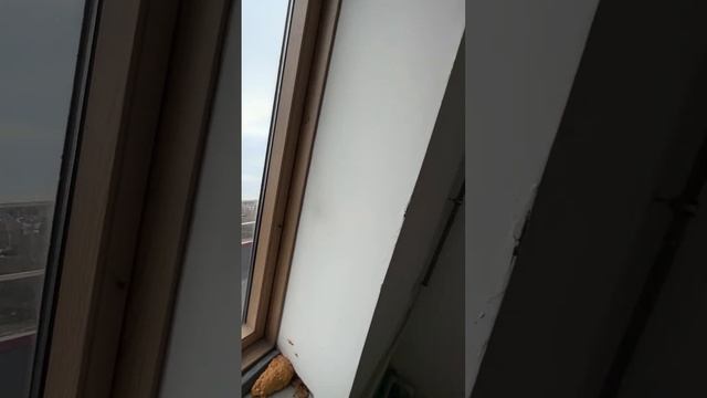 Живописная видовая двухуровневая квартира в Пушкинском районе МО, 108 м2 смотреть онлайн