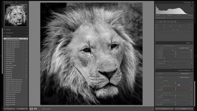 How To Edit Wildlife And Zoo Photos in Adobe Lightroom 6 CC The ULTIMATE Tutorial and Guide смотреть онлайн