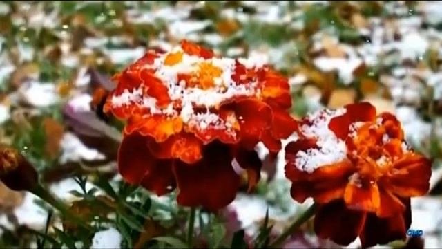 Муза вдохновения Мелодекламация на стихи Бориса Рудина