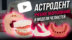 PRODENT| Учебные стоматологические модели | Симуляционное стоматологическое оборудование