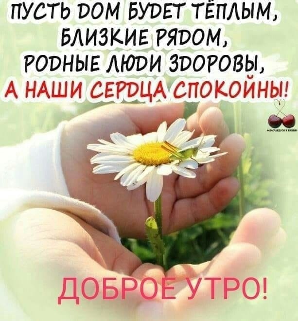 С Добрым Утром и Хорошим Днем!